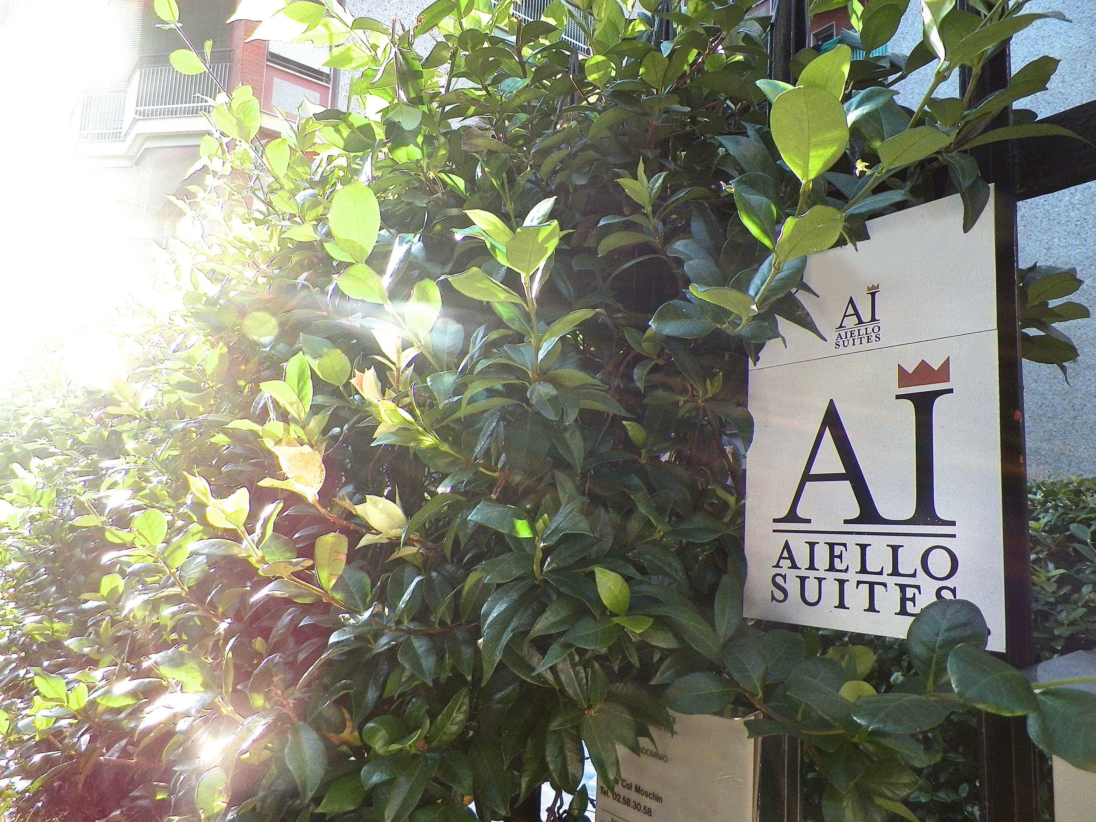 Aiello Suites Executive — Photos 3